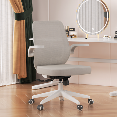 Classic Mesh Office Ergonomic Chair For Ultimate Comfort BGY-1049