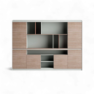 Minimalist Modern File Cabinet with Decorative Function WJG-2067